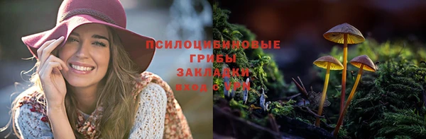 хмурый Пестово
