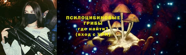 хмурый Пестово
