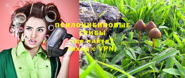 хмурый Пестово