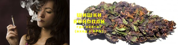 тгк Галич