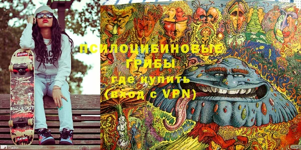 хмурый Пестово