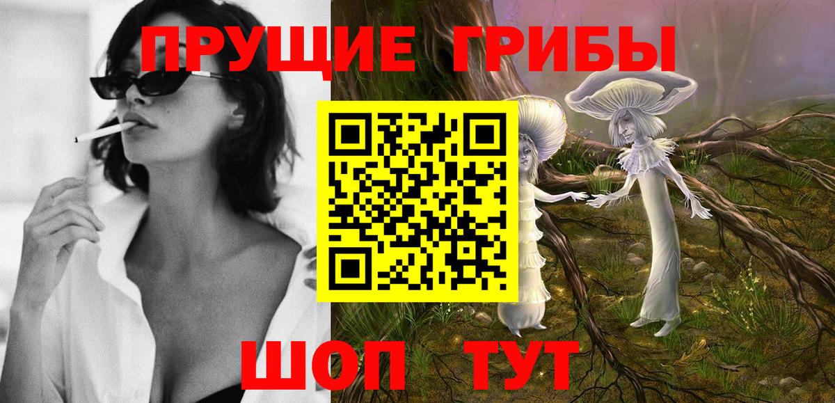 Краснотурьинск  Псилоцибиновые грибы MAGIC MUSHROOMS  Вход с VPN 