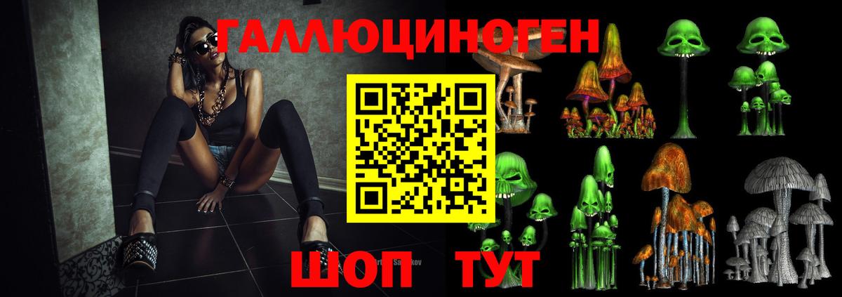 Галлюциногенные грибы Psilocybine cubensis  Краснотурьинск 